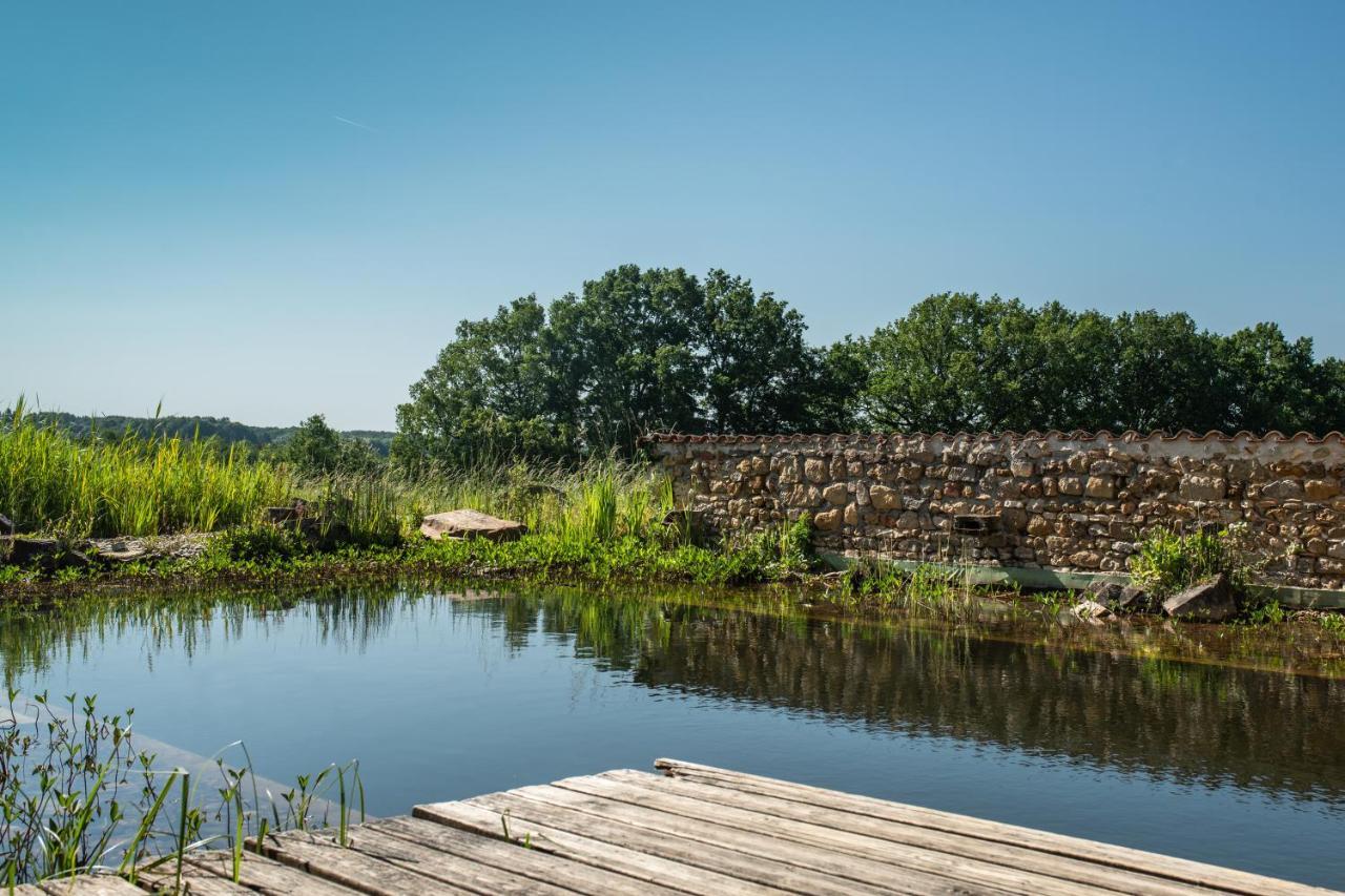 Le Domaine De Langlardie Bed & Breakfast Soudat Екстериор снимка