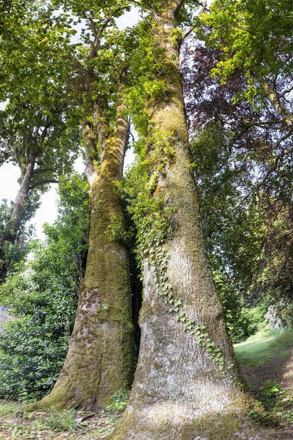 Le Domaine De Langlardie Soudat Екстериор снимка